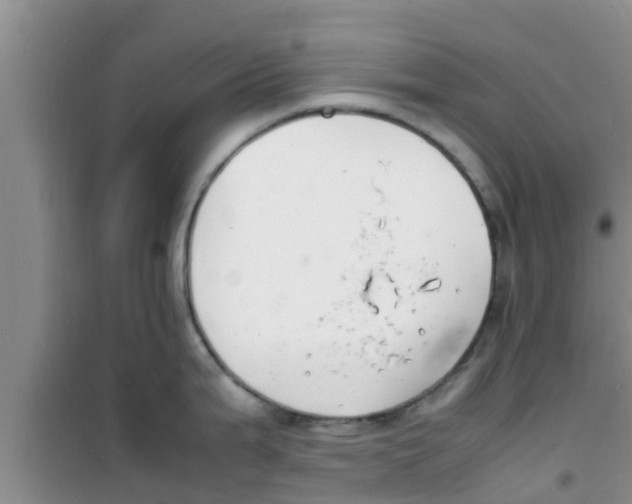 X0000100981199200807221226