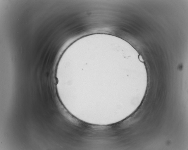 X0000100981200200807221226