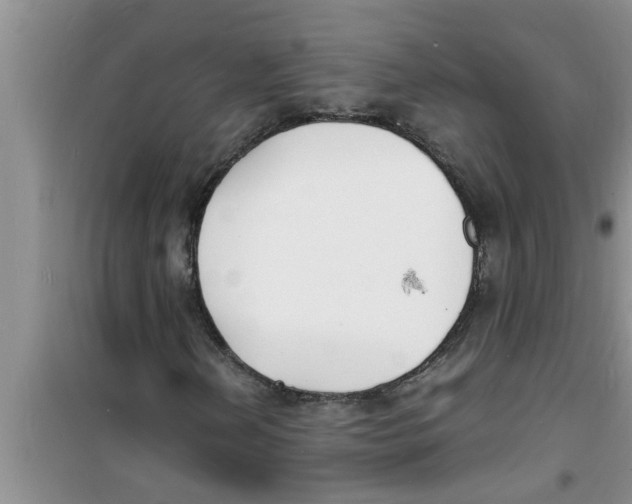 X0000100981202200807221225