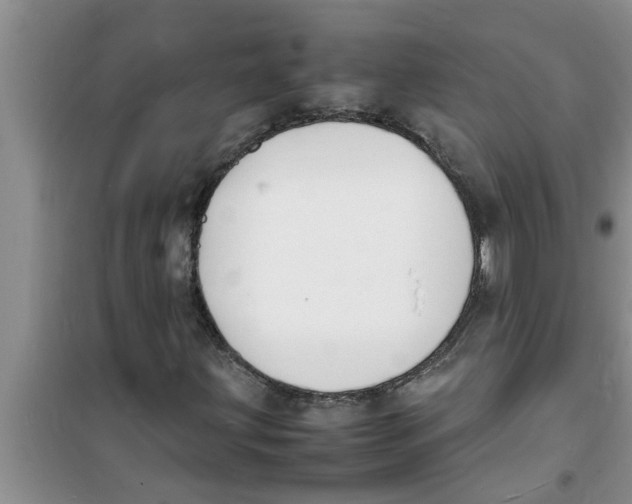 X0000100981203200807221225