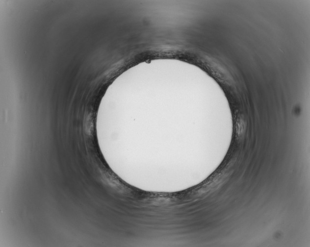 X0000100981204200807221225