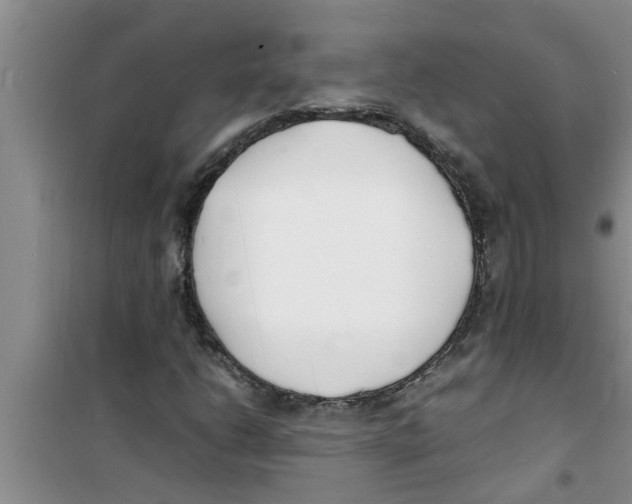 X0000100981206200807221225