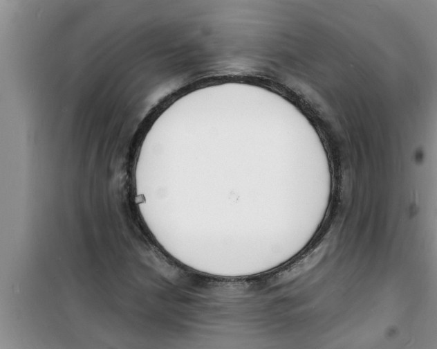 X0000100981210200807221225