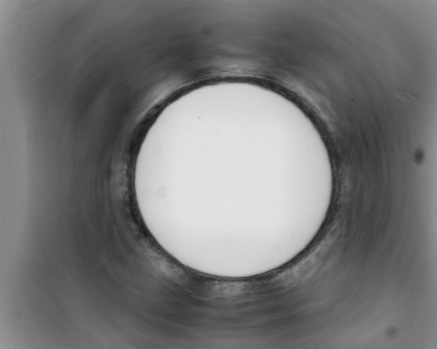 X0000100981211200807221225