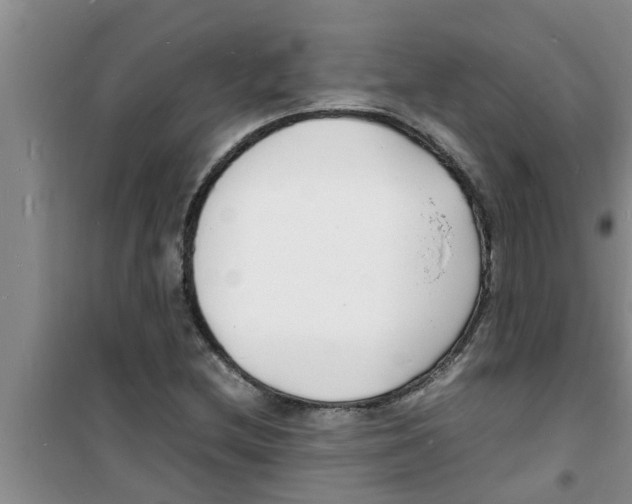 X0000100981212200807221225