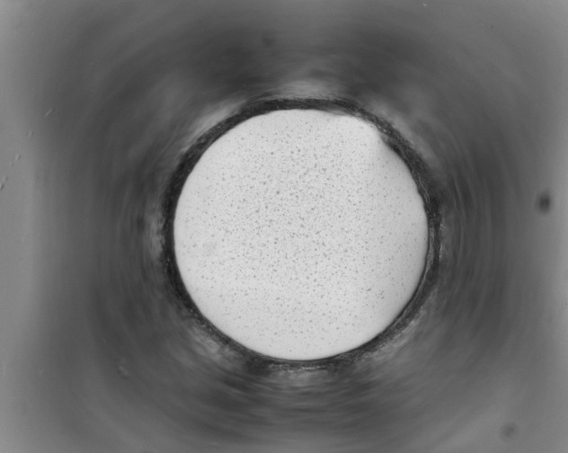 X0000100981213200807221225