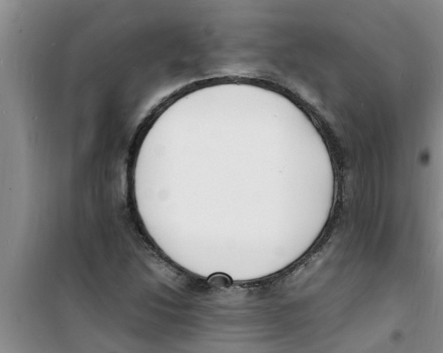 X0000100981214200807221225