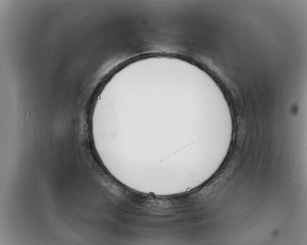 X0000100981215200807221225