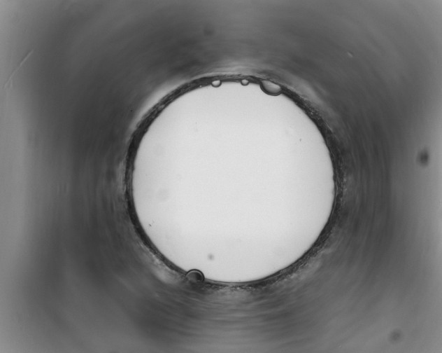 X0000100981216200807221225