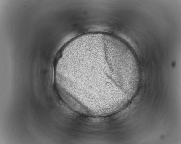 X0000100981219200807221225