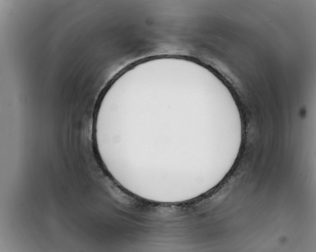 X0000100981220200807221225