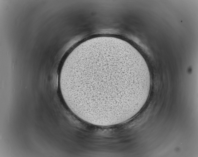 X0000100981221200807221225