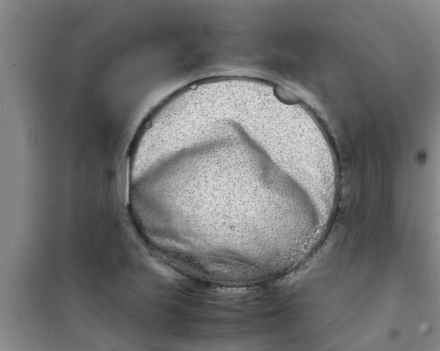 X0000100981223200807221225