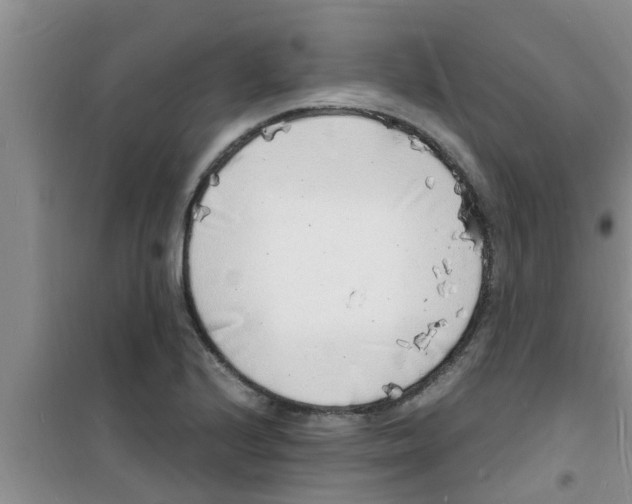 X0000100981224200807221225