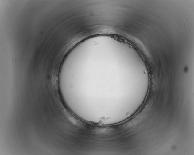 X0000100981225200807221226