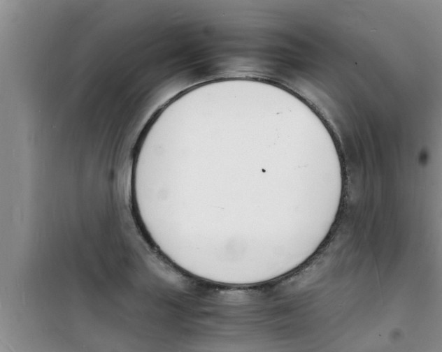 X0000100981227200807221226