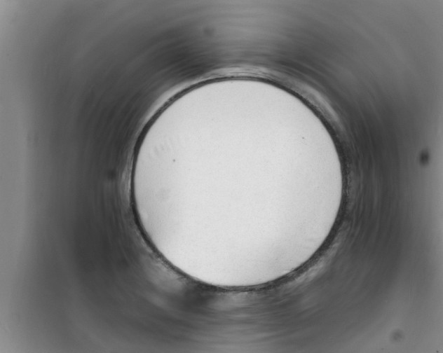 X0000100981228200807221226