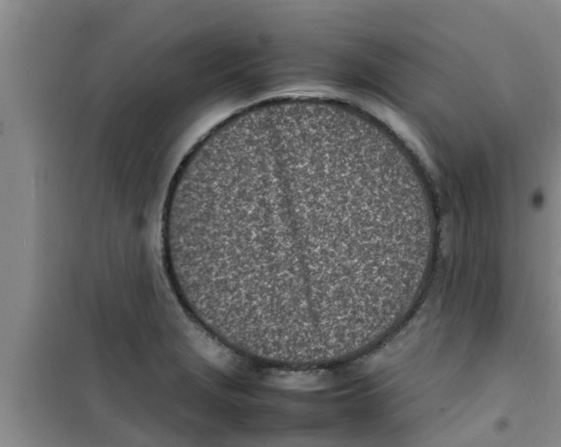 X0000100981229200807221226