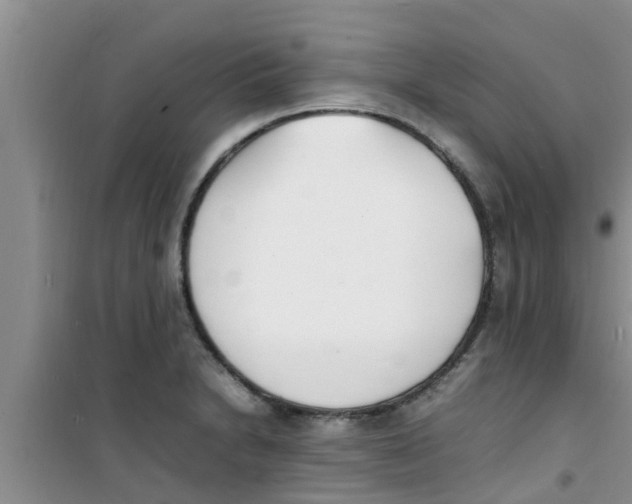 X0000100981230200807221226