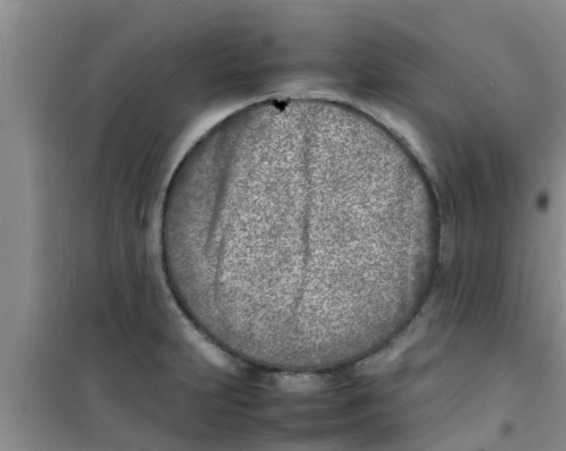 X0000100981231200807221226