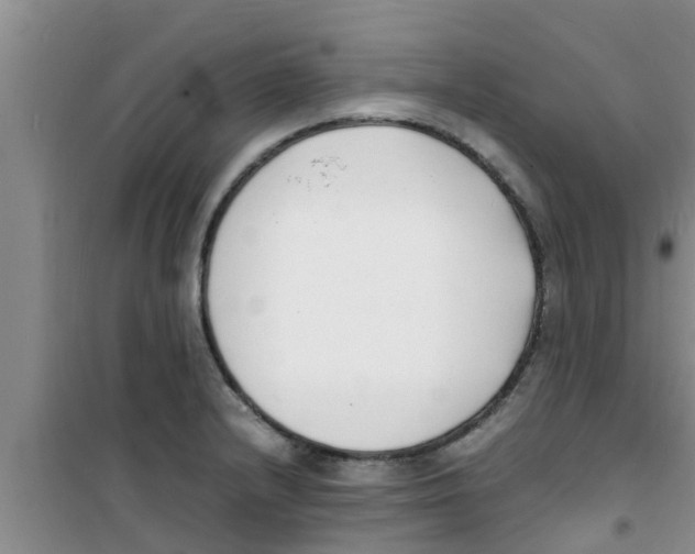 X0000100981232200807221226