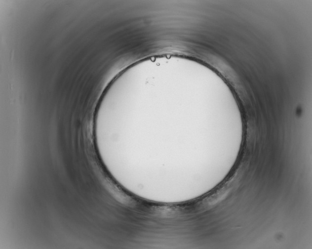 X0000100981234200807221226