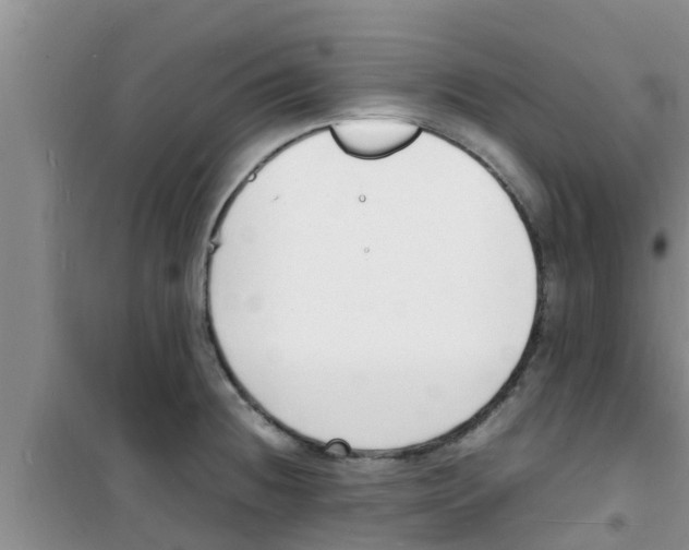 X0000100981236200807221226