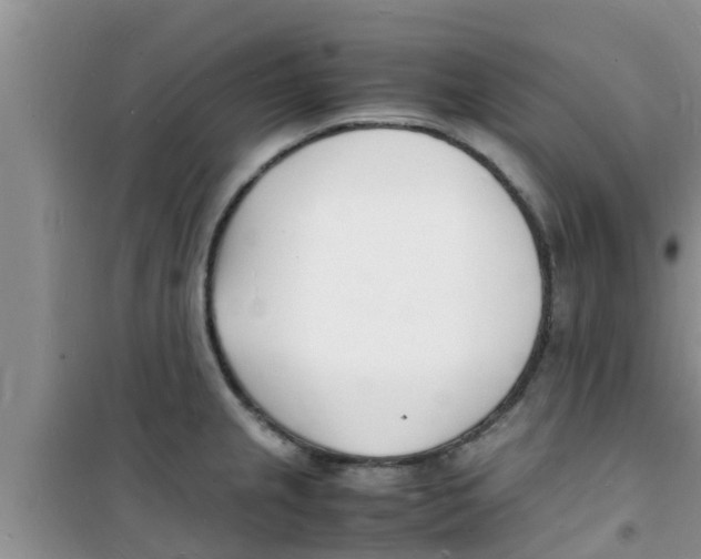 X0000100981237200807221226