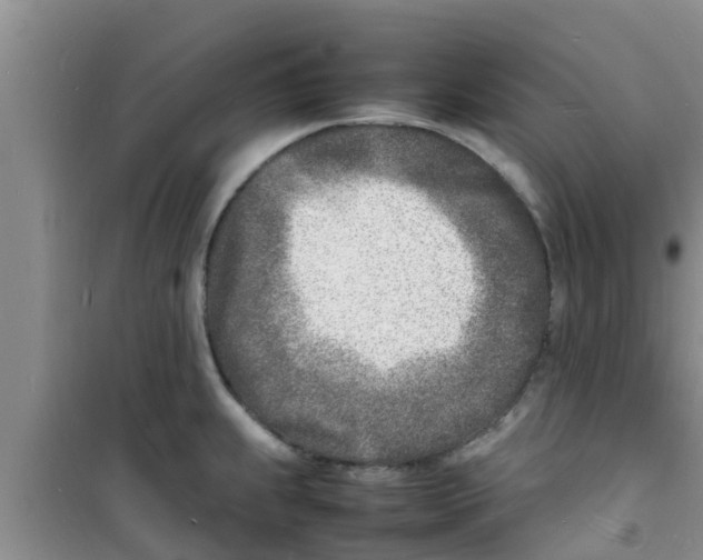 X0000100981239200807221226