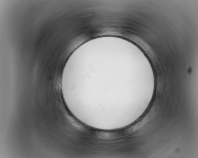 X0000100981241200807221226