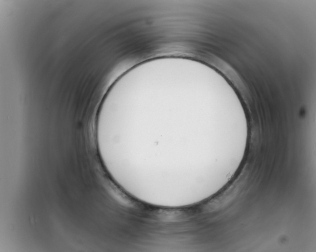 X0000100981242200807221226