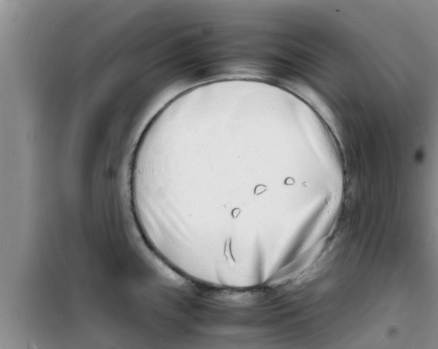 X0000100981243200807221226