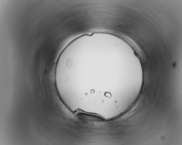 X0000100981244200807221226