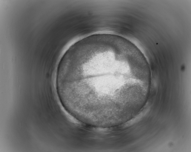 X0000100981245200807221226