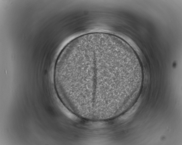 X0000100981246200807221226