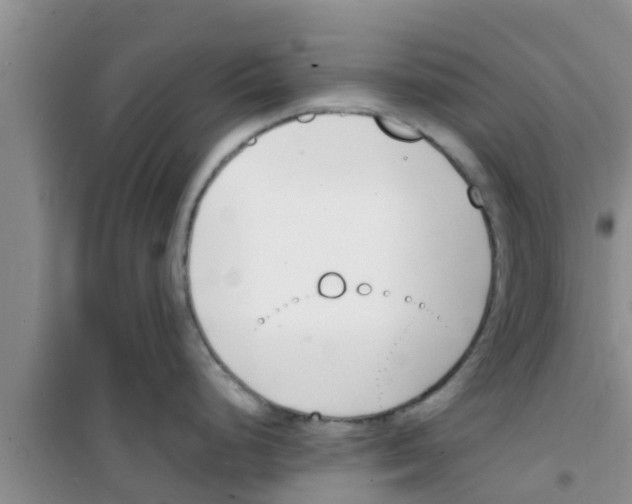 X0000100981248200807221226