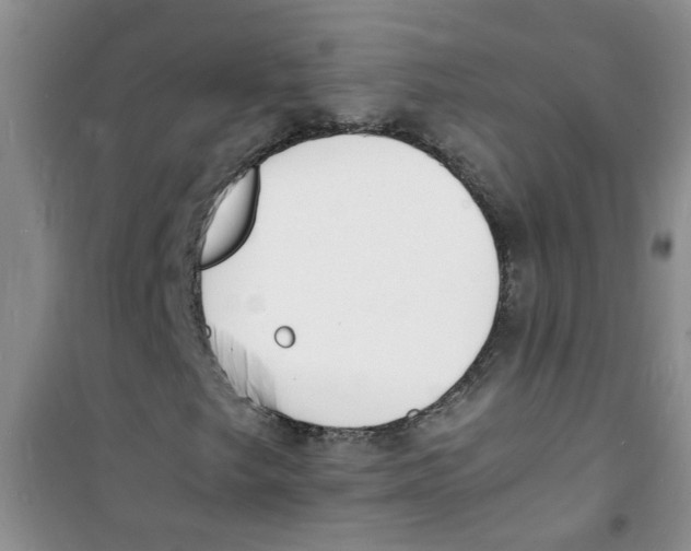 X0000100981249200807221225