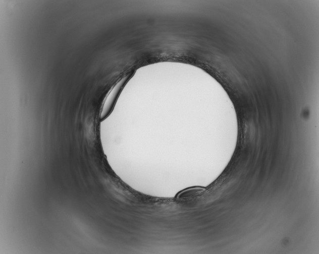 X0000100981250200807221225