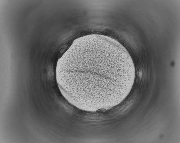 X0000100981252200807221225