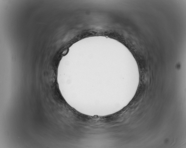 X0000100981253200807221225