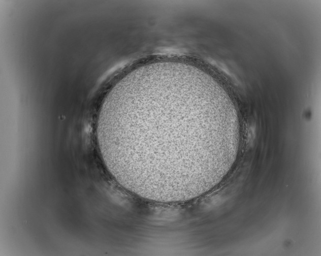 X0000100981254200807221225