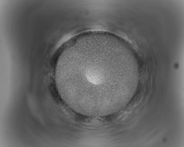 X0000100981255200807221225