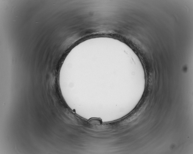 X0000100981257200807221225