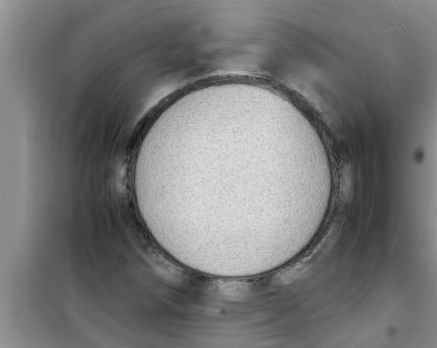 X0000100981258200807221225