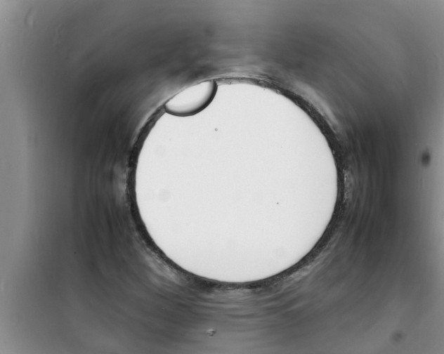 X0000100981260200807221225