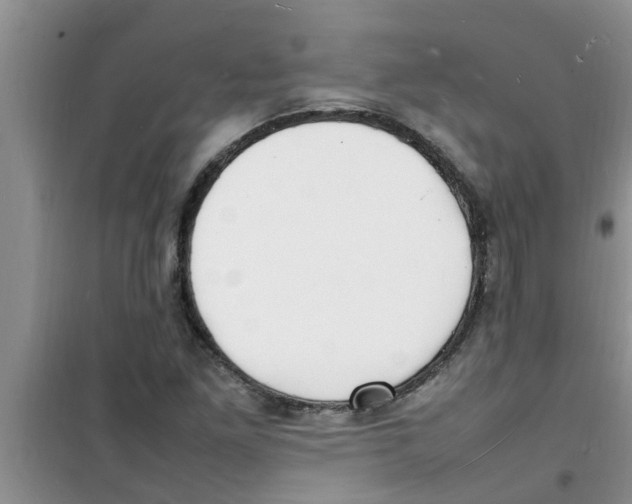 X0000100981261200807221225