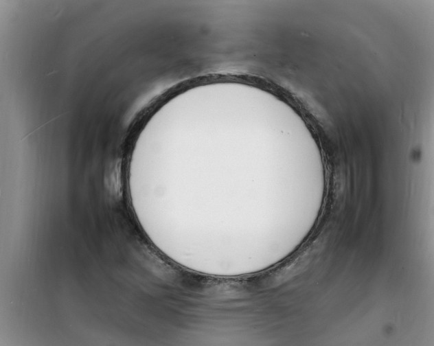 X0000100981262200807221225