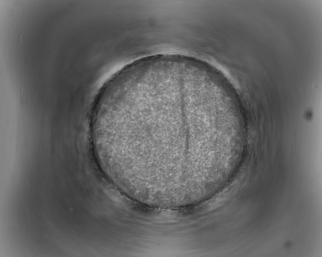 X0000100981263200807221225