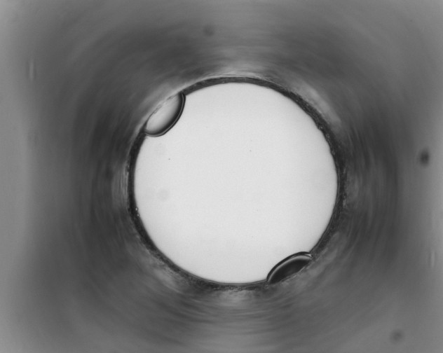 X0000100981268200807221225