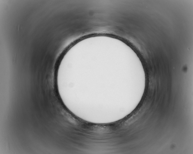 X0000100981270200807221225